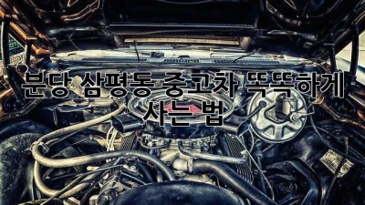 분당 삼평동 중고차, 똑똑하게 사는 법 🚗💨