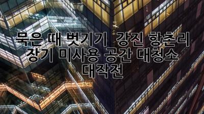 묵은 때 벗기기 ✨ 강진 항촌리 장기 미사용 공간 대청소 대작전!